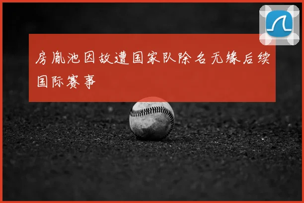 房胤池因故遭国家队除名无缘后续国际赛事