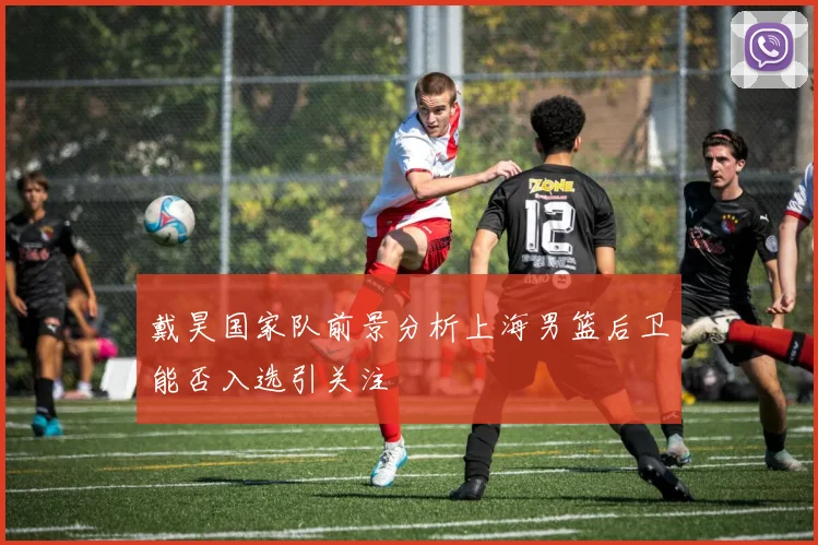 戴昊国家队前景分析上海男篮后卫能否入选引关注