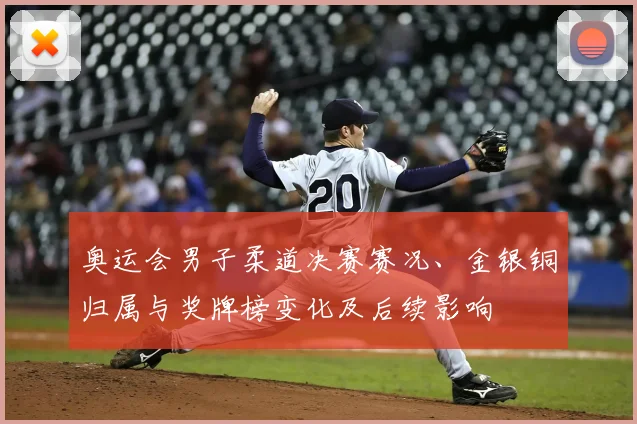 奥运会男子柔道决赛赛况、金银铜归属与奖牌榜变化及后续影响