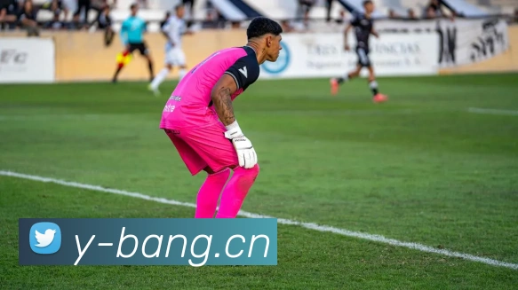 emc易倍官网入口APP 封面图